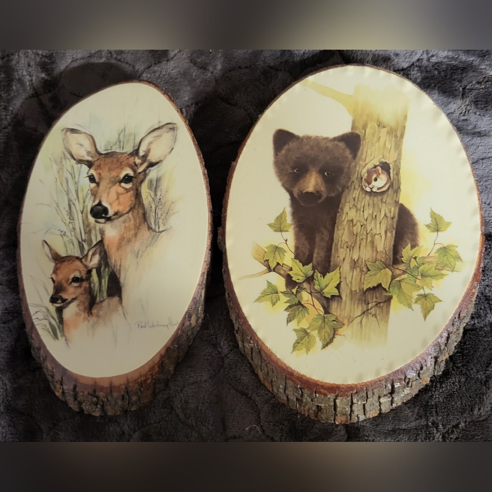 Souvenirs From Yellowstone National Park